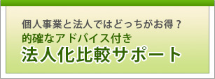 法人化・法人成を税理士が徹底比較します